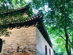 -灵谷景区