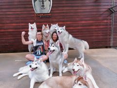 -TrueLove @ Neverland (Husky Cafe)