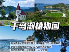 -水边人家·鱼宴餐厅·淳鱼馆(千岛湖店)