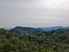 -大岭沟猕猴桃谷风景区