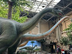 -国家自然博物馆