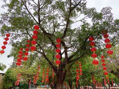 -炮台山公园