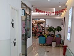 -北京观赏动物医院·24小时大型综合·猫专科·异宠专科