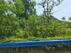 -伏羲山旅游区