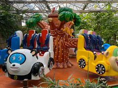 -南宫五洲植物乐园