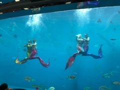 -瑞德姆美人鱼海底演艺主题餐厅(亚龙湾店)