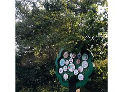 -大连北马山庄