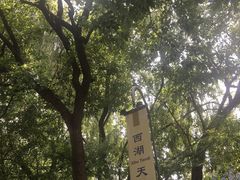 -西湖天地