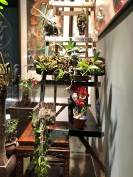 -周忆刺青原创设计定制