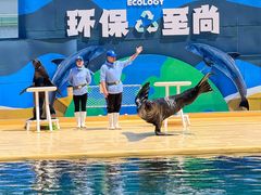 -秦皇岛乐岛海洋王国