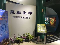 -上海昆虫博物馆
