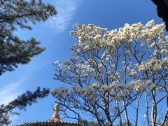 -潭柘寺景区