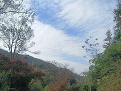 -桃花岭景区