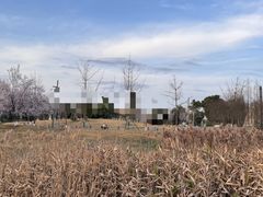 -两河城市森林公园