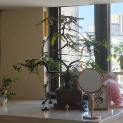 -珍贞佰俪·针清祛痘印敏感管理