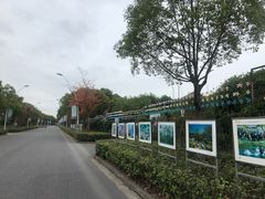 -自然谷恐龙园