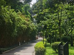 -晓港公园