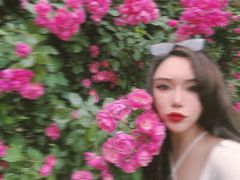 -秀丽东方