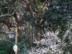 -杭州植物园