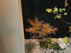 -隐溪茶馆(金虹桥店)