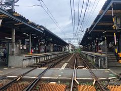 -鎌倉茶々(本店)