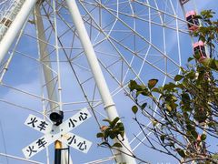 -顾村公园