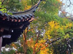 -郑和公园