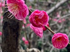 -静安雕塑公园