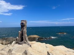 -三亚蜈支洲岛旅游区