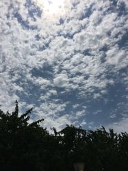 -大望京儿童游乐场