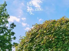 -莫子山公园