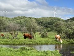 -塞罕坝国家级自然保护区