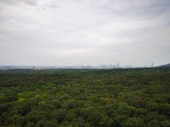 -灵谷景区