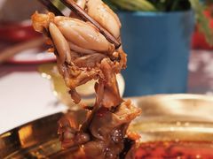 -蛙二爷美蛙火锅基地(温州总店)