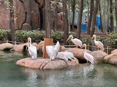 -北京野生动物园