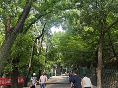 -灵岩山风景区