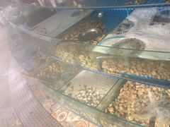 -蟹谢蒸鲜自助餐厅