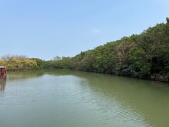 -大湾区中央湿地公园