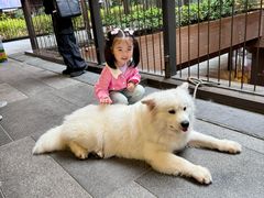-瑞虹新天地月亮湾
