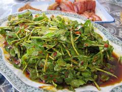 -白家寨子·山野白族菜(古城总店)