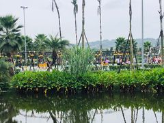 -枫香湖儿童公园