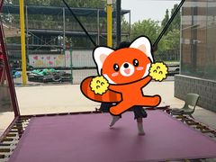-淄博花灯齐彩城