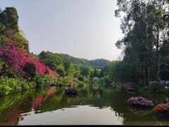 -深圳仙湖植物园