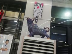 -pd派德宠物中心医院24H急重症·眼科中心·血液透析中心(嵩山北路店)