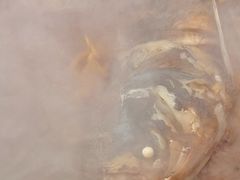 -庆岭迎宾园正宗活鱼馆