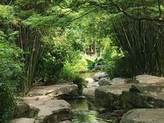 -龙头寺公园