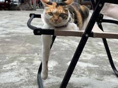 -Again Coffee Roaster(香蜜湖店)