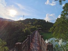 -广州白江湖森林公园