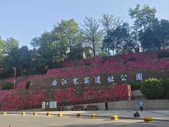 -西安曲江寒窑遗址公园