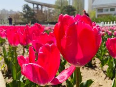 -廊坊文化艺术中心